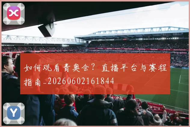 维尼修斯在巴西国家队的作用与关键表现_20260602162152