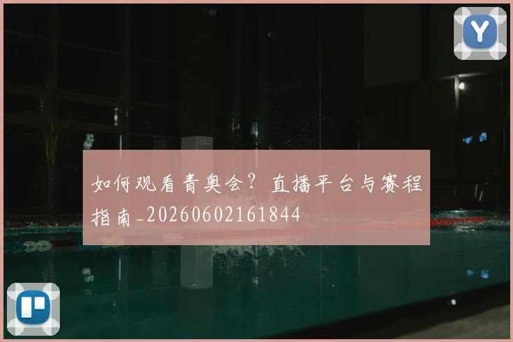 维尼修斯在巴西国家队的作用与关键表现_20260602162152