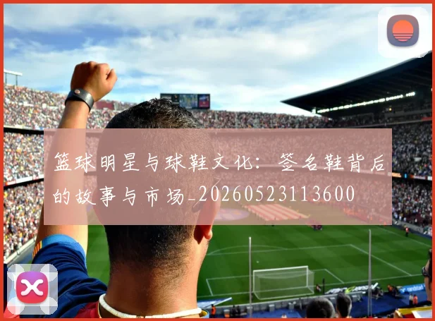 篮球明星与球鞋文化：签名鞋背后的故事与市场_20260523113600