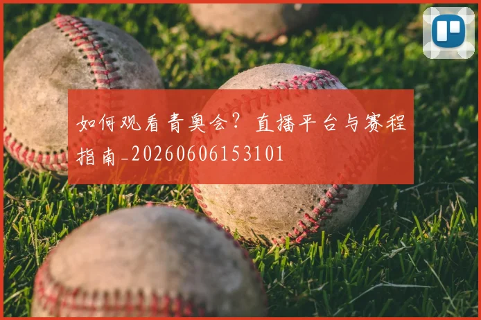 维尼修斯在巴西国家队的作用与进球集锦